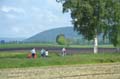 AF_DSC_2041