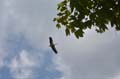LQ_DSC_2244